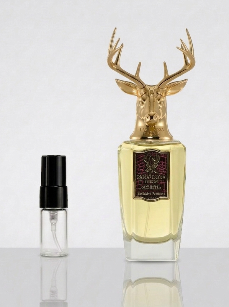 Pana Dora- Orchestra – Eau de Parfum